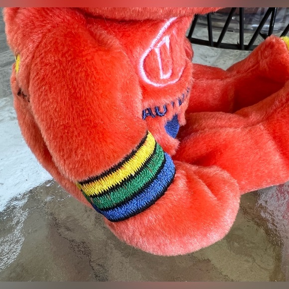 2000 JEFF GORDON 24 NASCAR Team Salvino Racing Orange Bean (y) Bear Plush - Picture 3 of 7